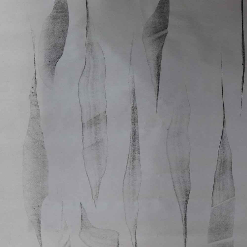 CHARCOAL DRAWING BY KARTER